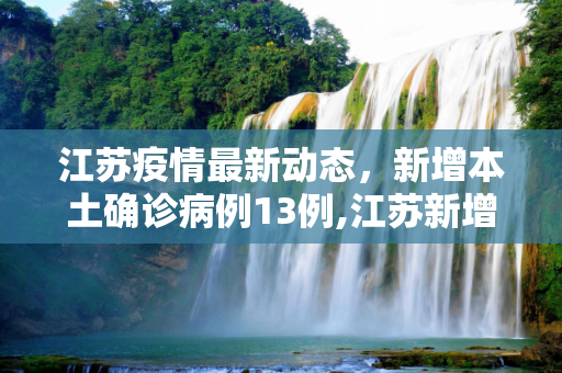 江苏疫情最新动态，新增本土确诊病例13例,江苏新增本土确诊13例