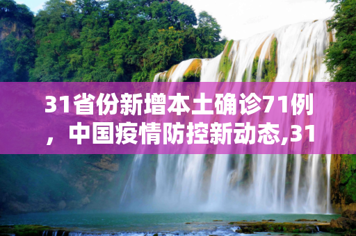 31省份新增本土确诊71例，中国疫情防控新动态,31省份新增本土确诊71例