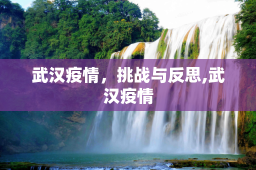 武汉疫情，挑战与反思,武汉疫情