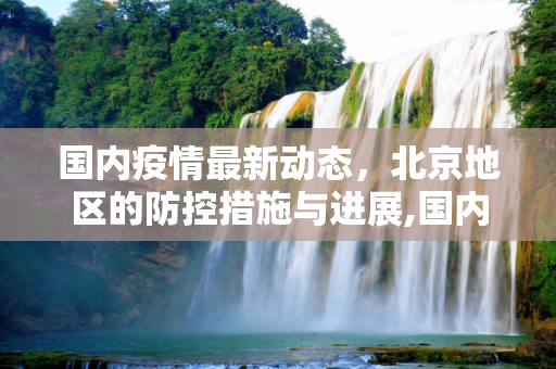 国内疫情最新动态，北京地区的防控措施与进展,国内疫情北京最新消息