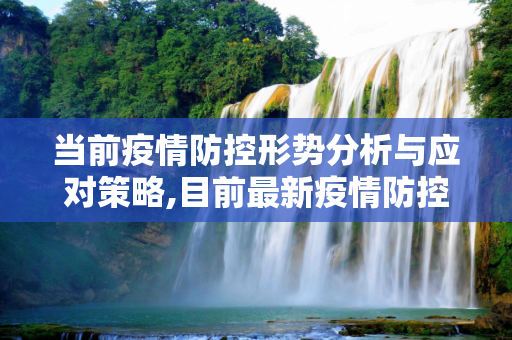 当前疫情防控形势分析与应对策略,目前最新疫情防控形势