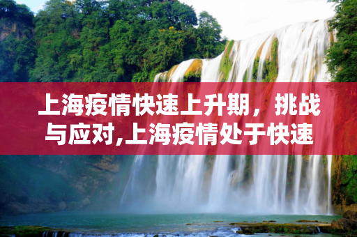 上海疫情快速上升期，挑战与应对,上海疫情处于快速上升期