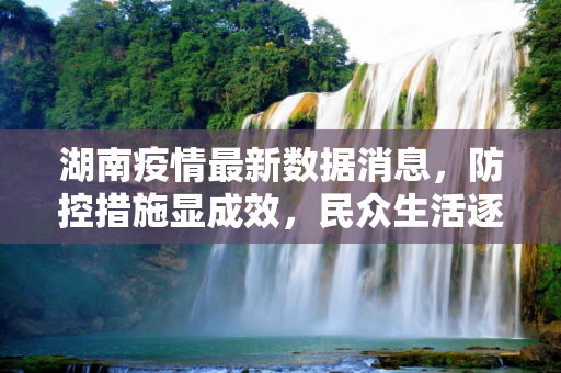 湖南疫情最新数据消息，防控措施显成效，民众生活逐步恢复,湖南疫情最新数据消息