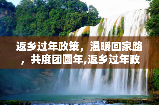 返乡过年政策，温暖回家路，共度团圆年,返乡过年政策