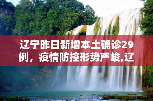 辽宁昨日新增本土确诊29例，疫情防控形势严峻,辽宁昨日新增本土确诊29例