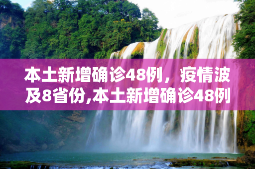 本土新增确诊48例，疫情波及8省份,本土新增确诊48例分布8省份
