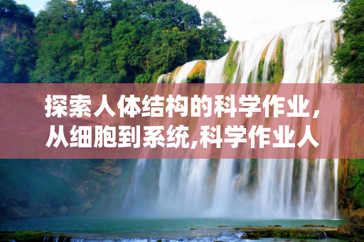 探索人体结构的科学作业，从细胞到系统,科学作业人体结构