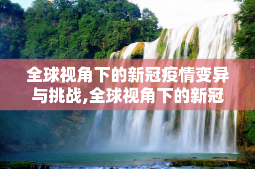 全球视角下的新冠疫情变异与挑战,全球视角下的新冠疫情变异与挑战