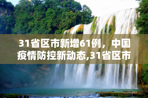 31省区市新增61例，中国疫情防控新动态,31省区市新增61例