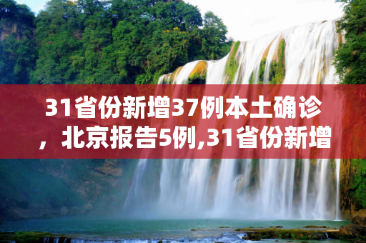 31省份新增37例本土确诊，北京报告5例,31省份新增37例本土确诊北京5例